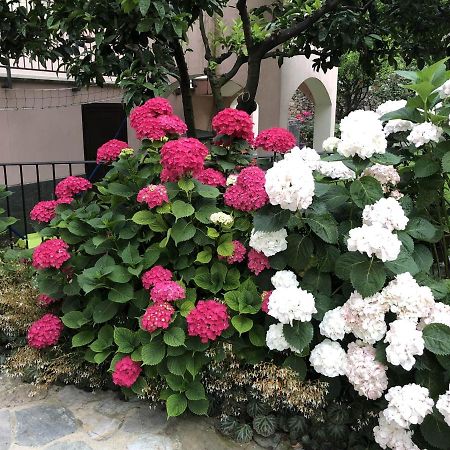 Tovo San Giacomo B&B Ca' Du Brigidin المظهر الخارجي الصورة