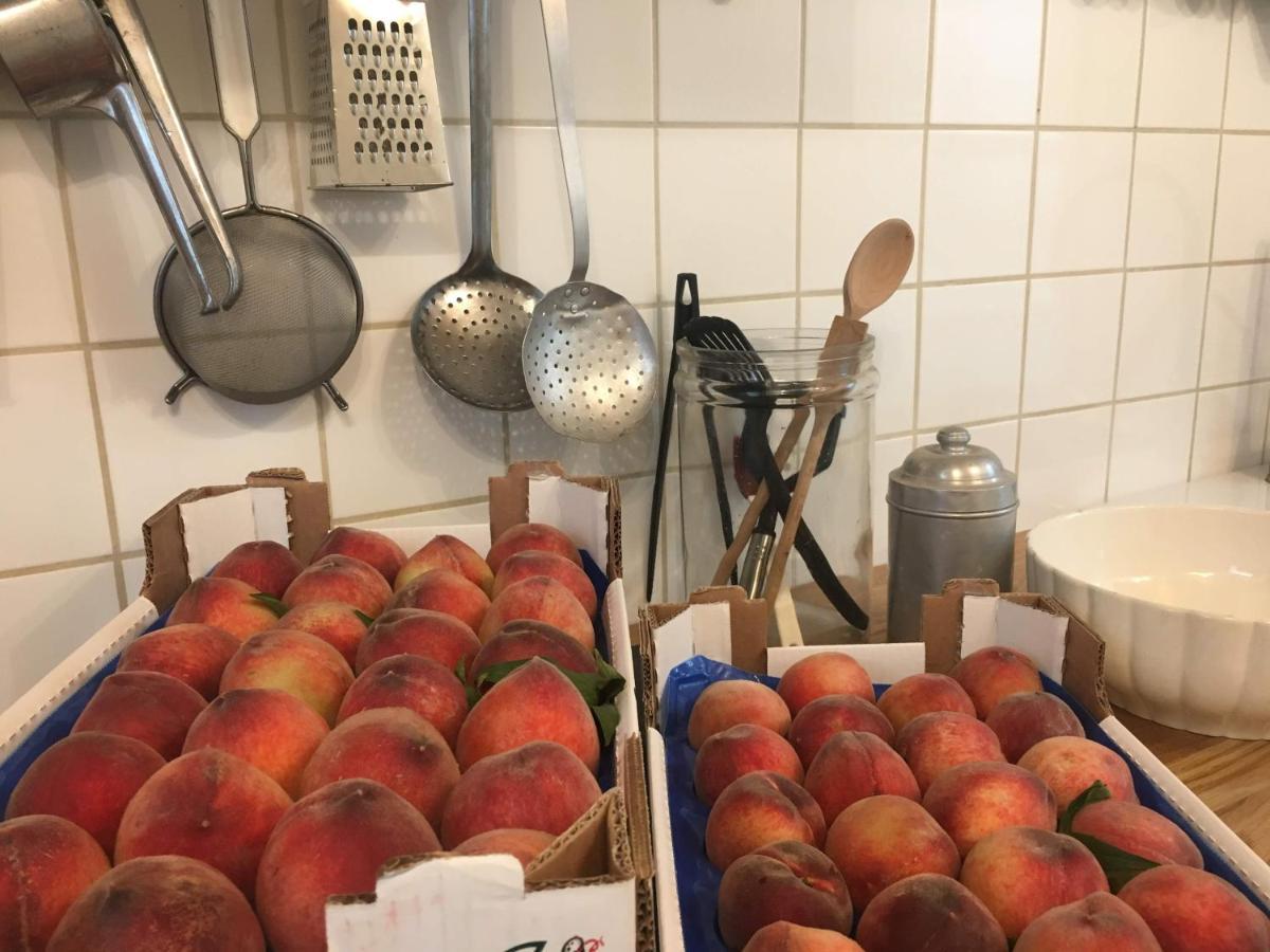 Tovo San Giacomo B&B Ca' Du Brigidin المظهر الخارجي الصورة