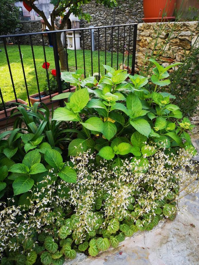 Tovo San Giacomo B&B Ca' Du Brigidin المظهر الخارجي الصورة