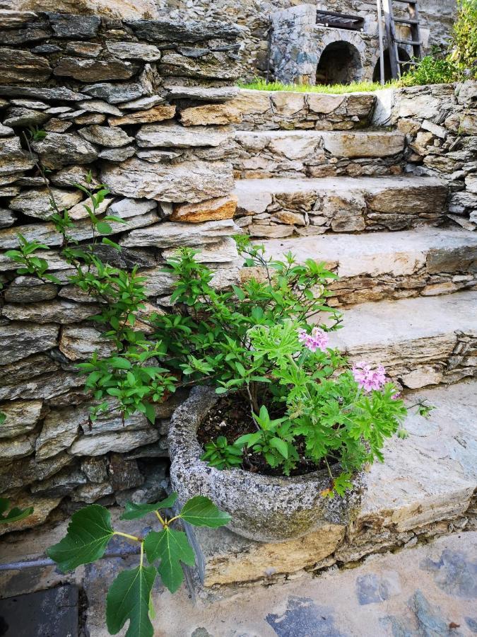 Tovo San Giacomo B&B Ca' Du Brigidin المظهر الخارجي الصورة