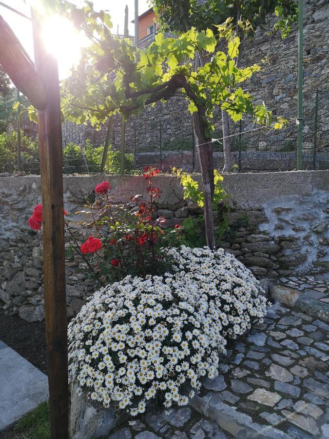 Tovo San Giacomo B&B Ca' Du Brigidin المظهر الخارجي الصورة