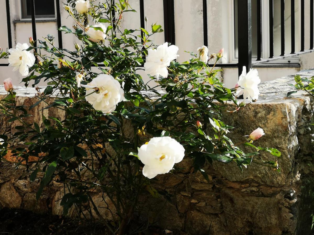 Tovo San Giacomo B&B Ca' Du Brigidin المظهر الخارجي الصورة