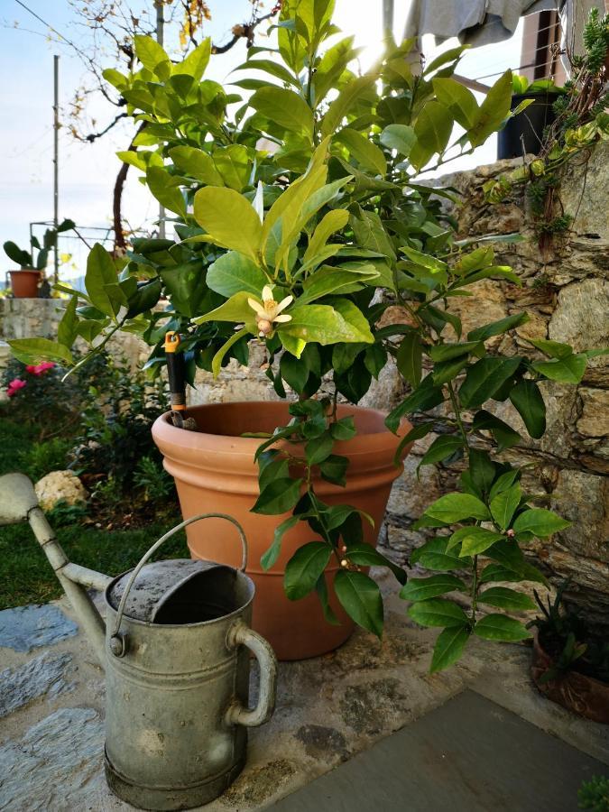 Tovo San Giacomo B&B Ca' Du Brigidin المظهر الخارجي الصورة